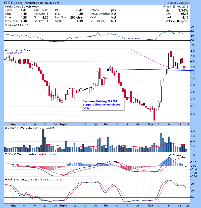 CLDX Bio name.Holding 200 MA support. Bounce watch over 4.46.