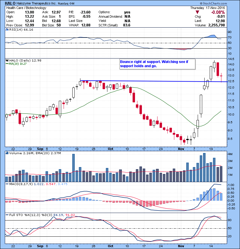 HALO Bounced right at support. Watching see if support holds and go.