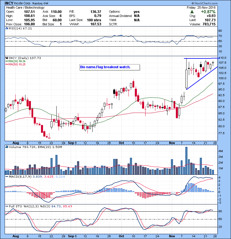 INCY Bio name.Flag breakout watch.