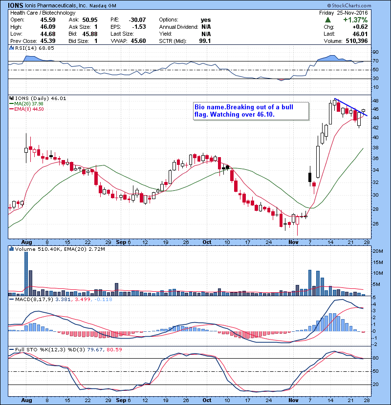 IONS Bio name.Breaking out of a bull flag. Watching over 46.10.