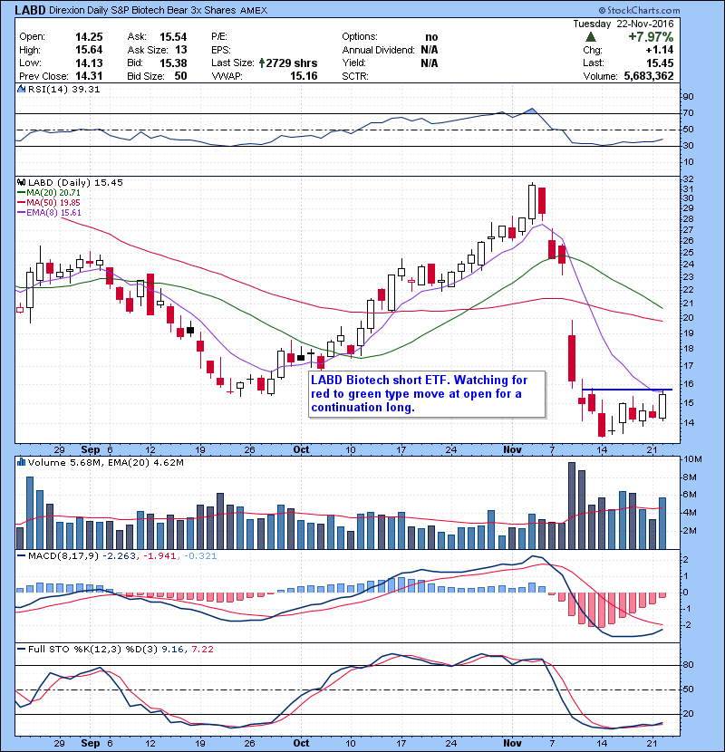 LABD Biotech short ETF. Watching for red to green type move at open for a continuation long.