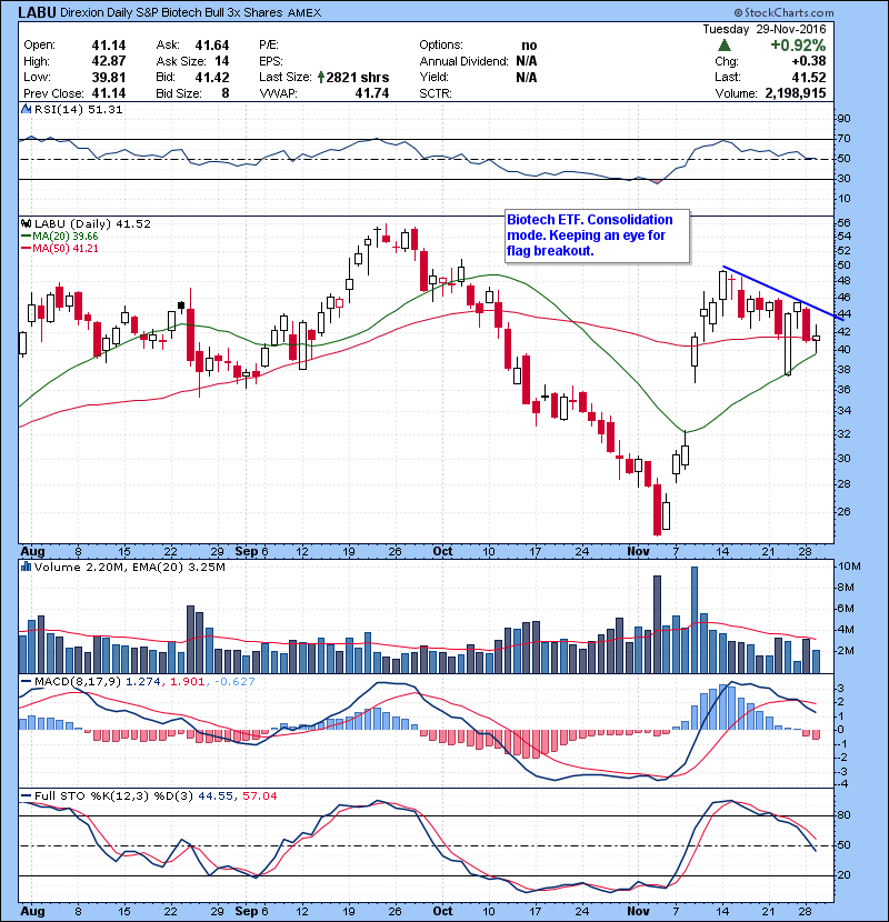 LABU Biotech ETF. Consolidation mode. Keeping an eye for flag breakout.