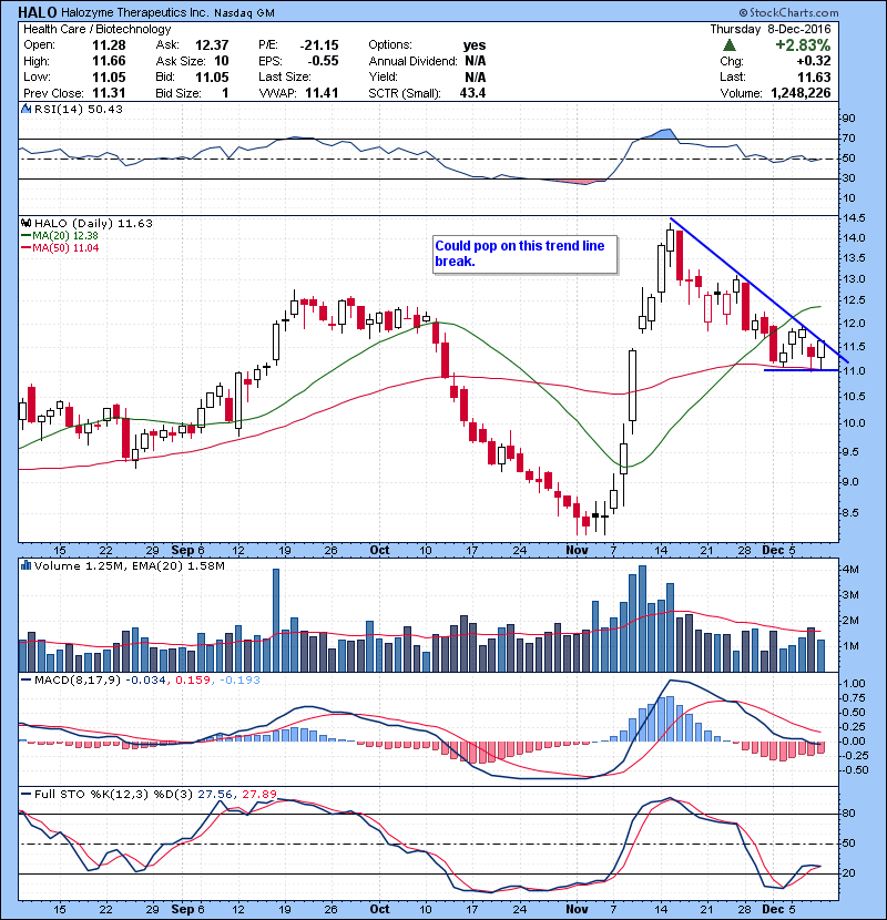 HALO Could pop on this trend line break.