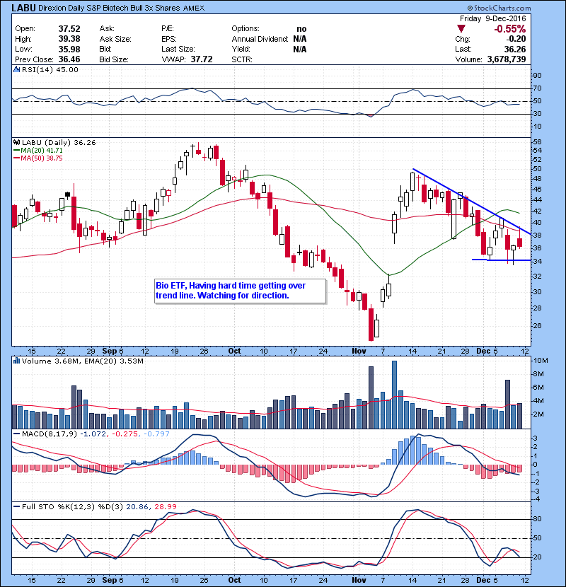 LABU Bio ETF, holding support. Bounce continuation watch ideally on a red to green type move at open.