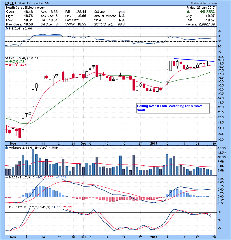EXEL Coiling over 8 EMA. Watching for a move soon.