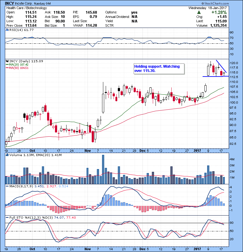 INCY Holding support. Watching over 115.30.