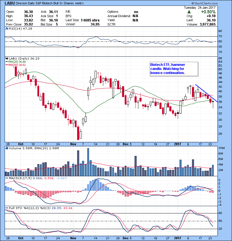 LABU Biotech ETF, hammer candle. Watching for bounce continuation.