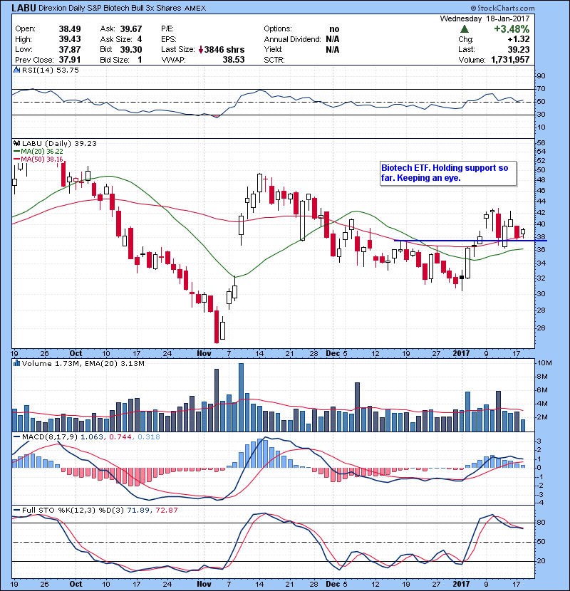LABU Biotech ETF. Holding support so far. Keeping an eye.