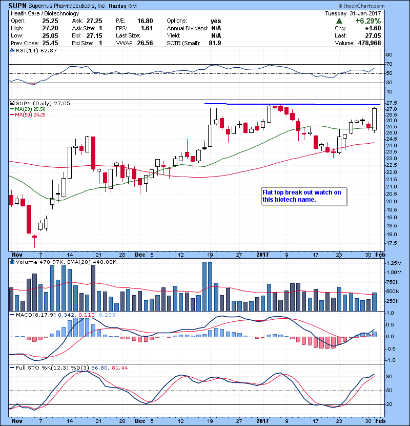 SUPN Flat top break out watch on this biotech name.